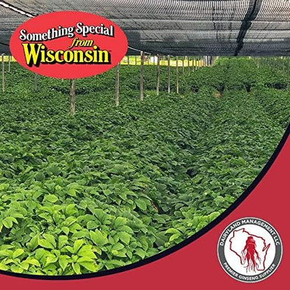 Dairyland American Ginseng Powder - Wisconsin Grown, 4 oz - Non-GMO, Gluten Free