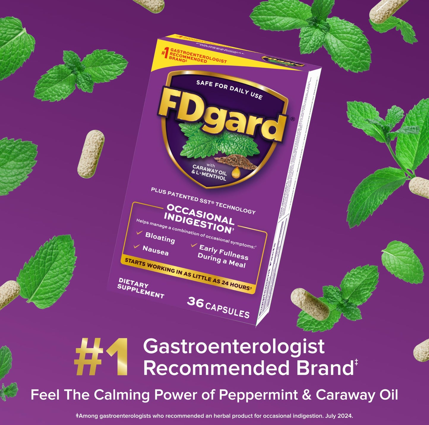 FDgard Gut Health Supplement | Occasional Indigestion Relief Before Meals | 36 Capsules