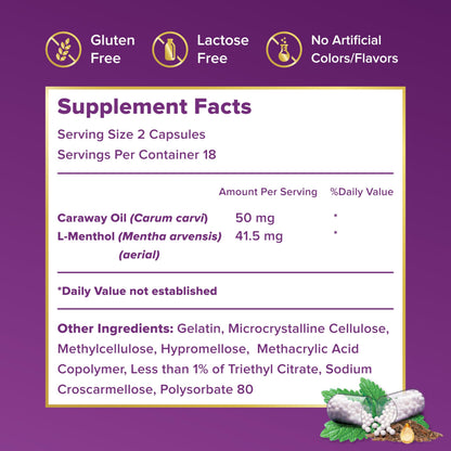 FDgard Gut Health Supplement | Occasional Indigestion Relief Before Meals | 36 Capsules