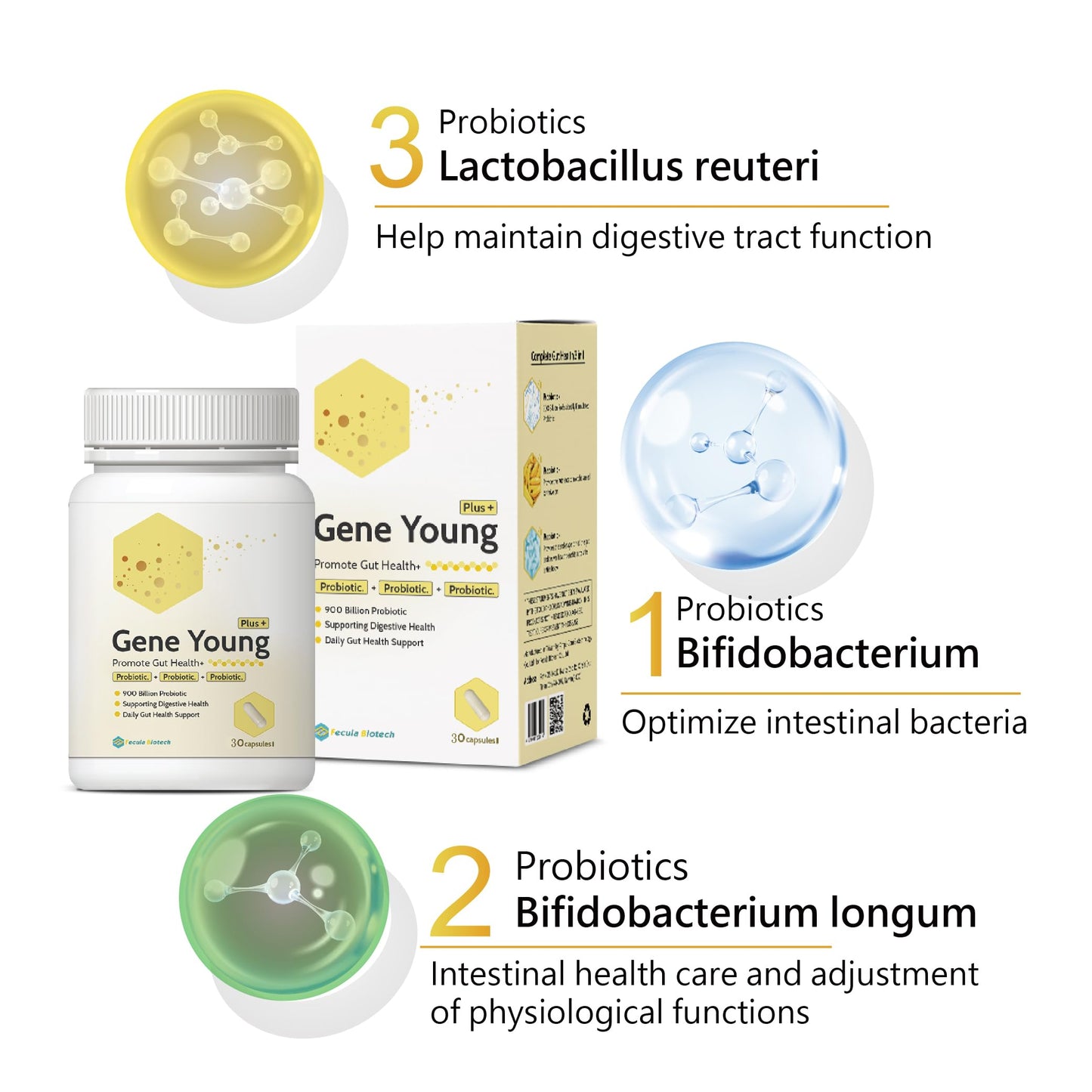 Fecula Biotech Synbiotic Gut Health - 3-in-1 Probiotic/Prebiotic/Postbiotic, 30 Caps, D-Lactate Free