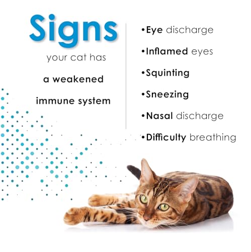 Felisyl L-Lysine for Cats – 2 oz Immune & Respiratory Support (FHV-1) – Made in USA