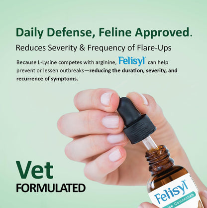 Felisyl L-Lysine for Cats – 2 oz Immune & Respiratory Support (FHV-1) – Made in USA