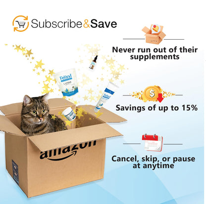 Felisyl L-Lysine for Cats – 2 oz Immune & Respiratory Support (FHV-1) – Made in USA