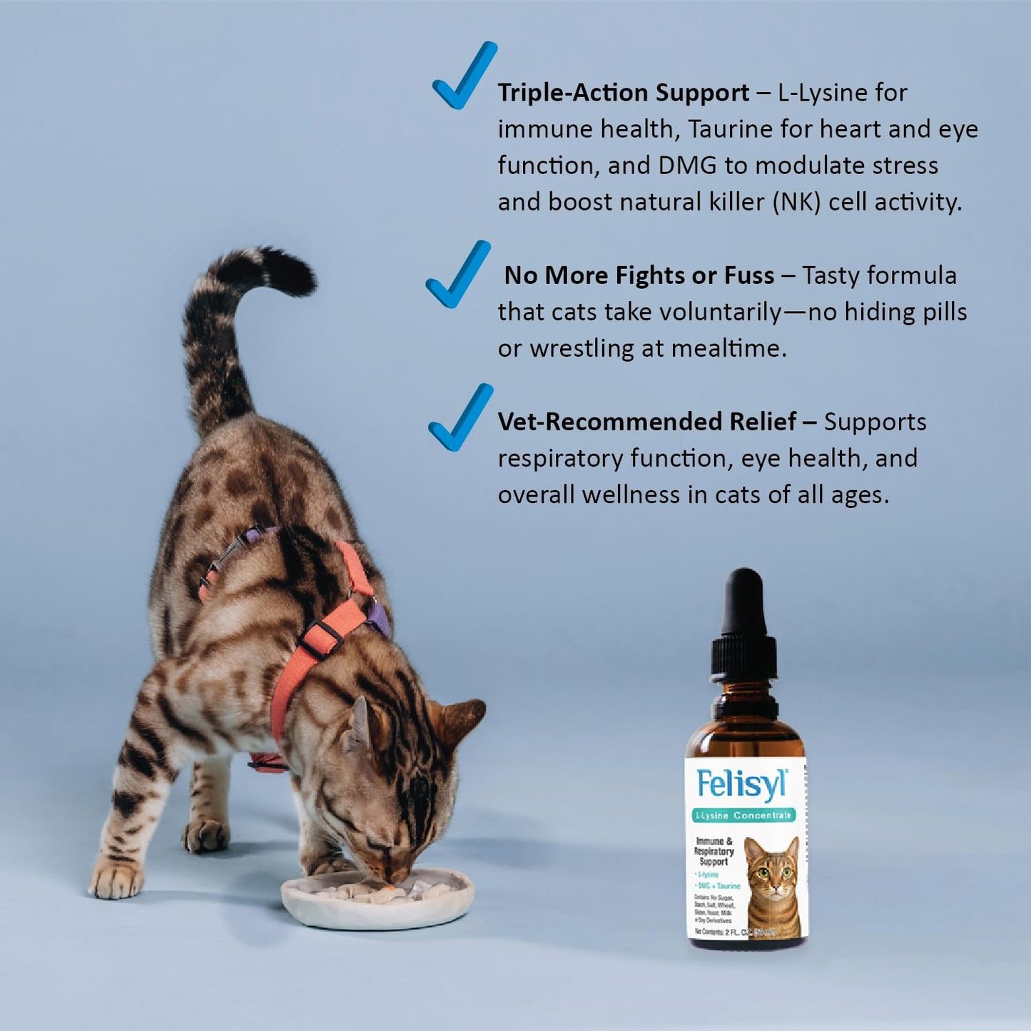 Felisyl L-Lysine for Cats – 2 oz Immune & Respiratory Support (FHV-1) – Made in USA