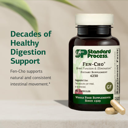 Fen-Cho Digestive & Gut Health Supplement - Gluten-Free, Non-Dairy, Non-Soy | 90 Capsules