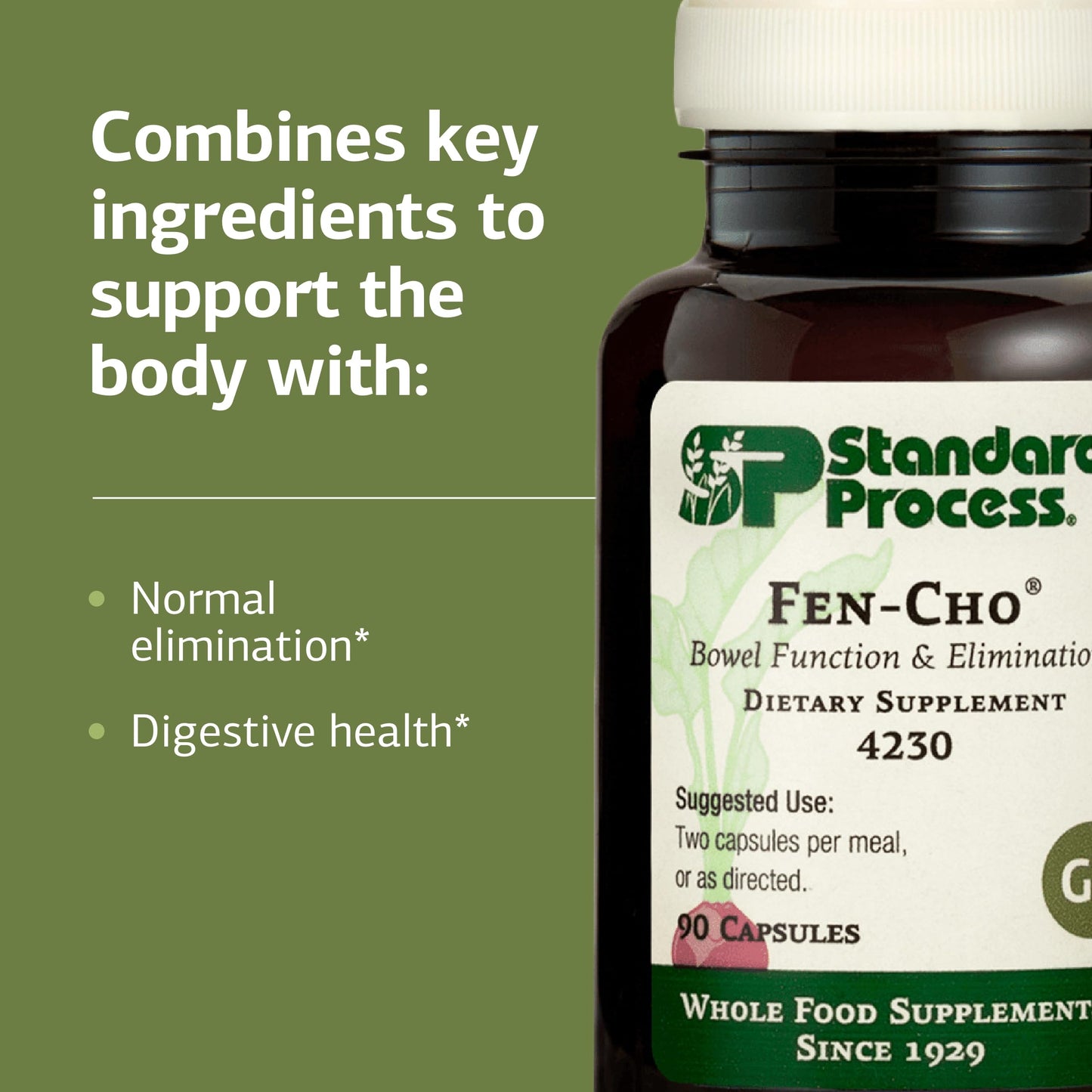 Fen-Cho Digestive & Gut Health Supplement - Gluten-Free, Non-Dairy, Non-Soy | 90 Capsules
