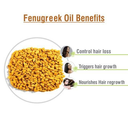 Fenugreek Essential Oil 15ml – 100% Pure & Natural, Undiluted