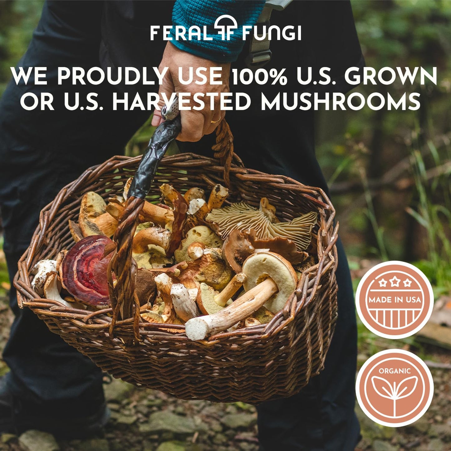 Feral Fungi Myco-Vitality Tincture – 100% Pure USA Mushroom Extract 1 oz