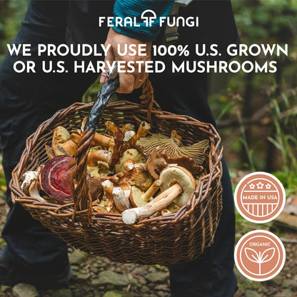 Feral Fungi Myco-Vitality Tincture – 100% Pure USA Mushroom Extract 1 oz