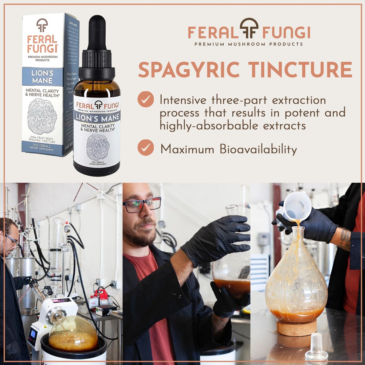 Feral Fungi Lion's Mane Tincture - 1 oz | 100% Pure USA-Grown Mushroom Extract
