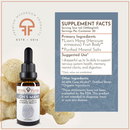 Feral Fungi Lion's Mane Tincture - 1 oz | 100% Pure USA-Grown Mushroom Extract