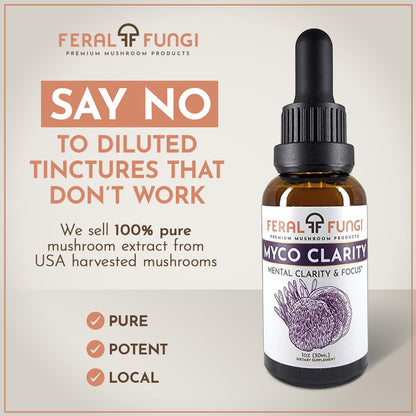 Feral Fungi Myco-Clarity Tincture - 100% Pure Mushroom Extract | USA-Grown 1 oz