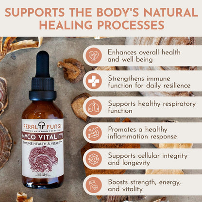 Feral Fungi Myco-Vitality Tincture – 100% Pure USA Mushroom Extract 1 oz