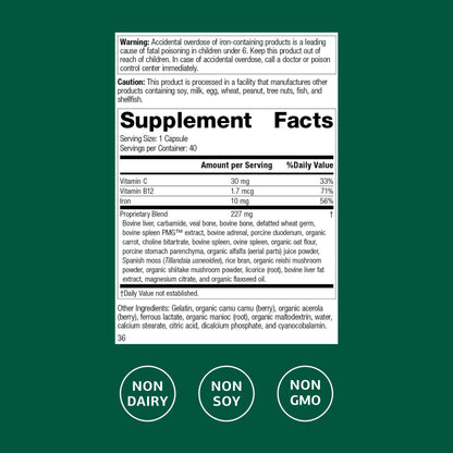 Ferrofood Iron Supplement – Supports Normal Blood Production (40 Capsules)