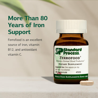 Ferrofood Iron Supplement – Supports Normal Blood Production (40 Capsules)