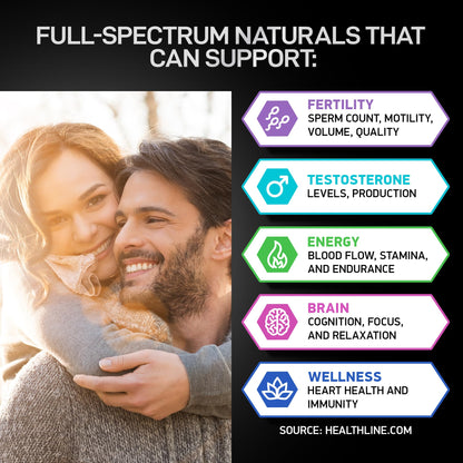 Fertility Supplements for Men - Zinc, Maca, L-Arginine & Ashwagandha | 120 Pills