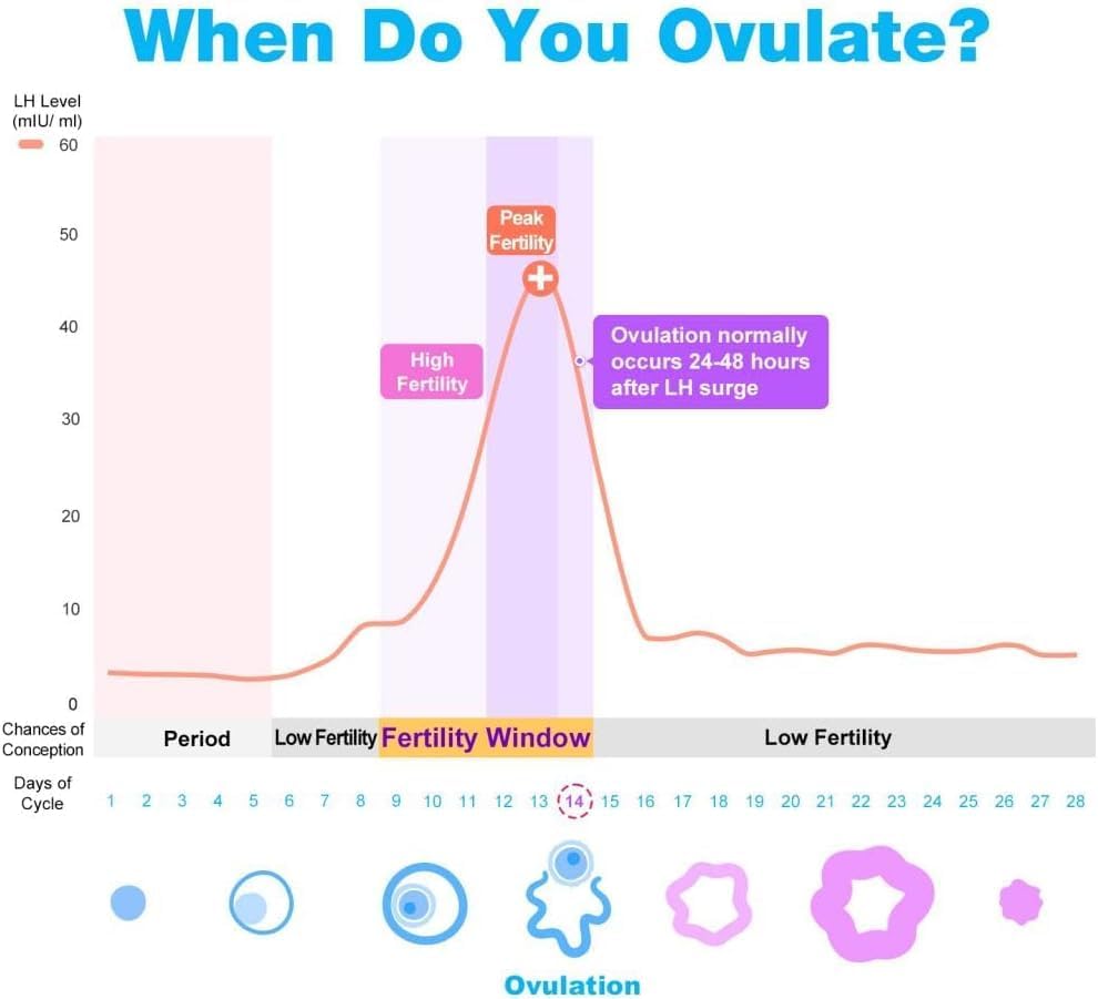 Easy@Home Ovulation Test Predictor Kit - 50 LH Strips + Urine Cups | Accurate Fertility