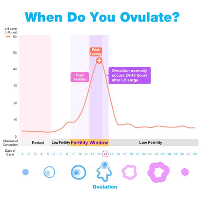 Easy@Home 100 LH Ovulation Test & 20 HCG Pregnancy Strips – Premom App Compatible, FSA Eligible