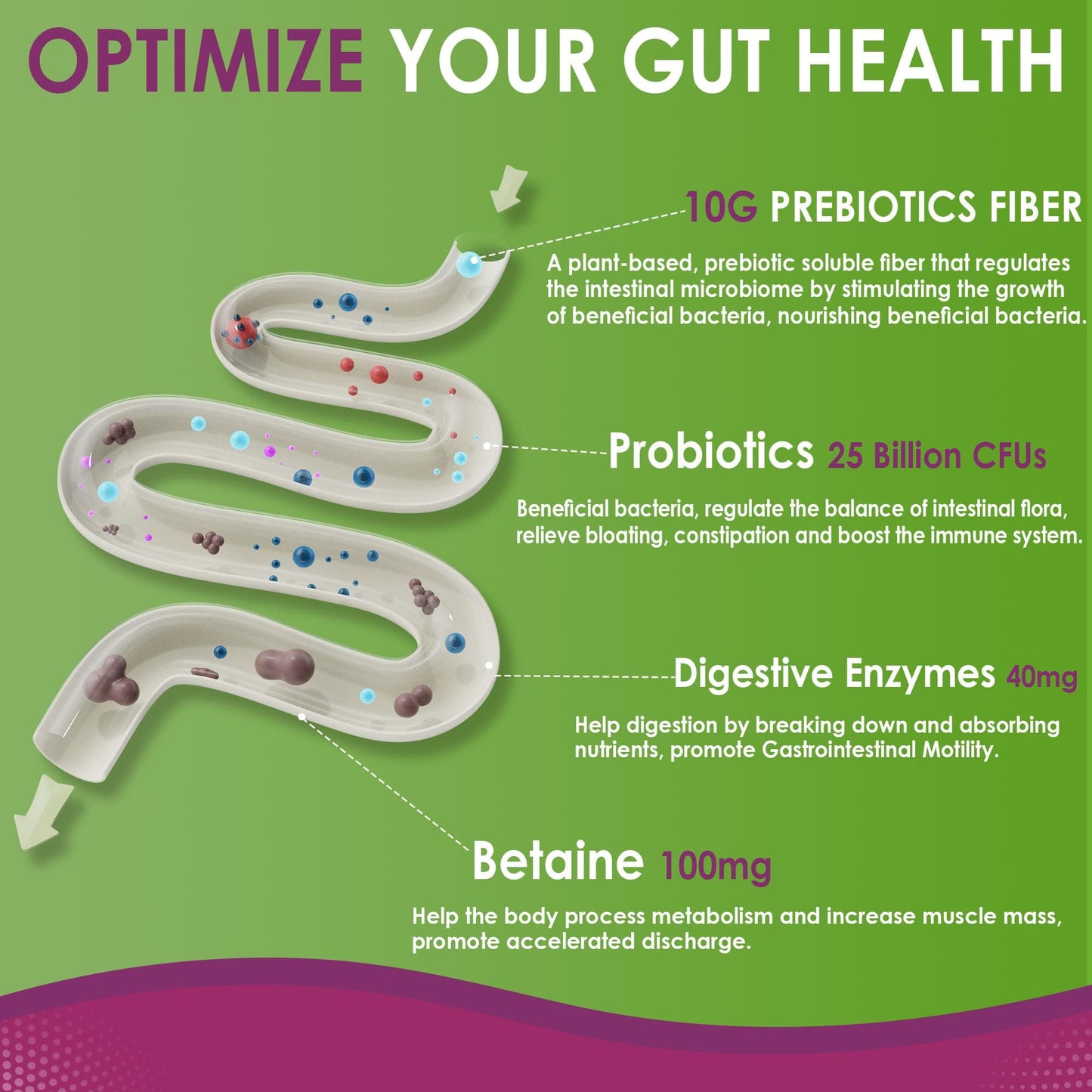 Fiber Gummies for Adults – Sugar Free 10g Prebiotic Fiber, Probiotics & Enzymes (120ct) – Vegan
