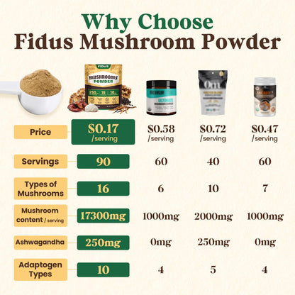 Fidus 16 Mushroom Powder – 17,300mg, 90 Servings | Immunity, Focus & Energy