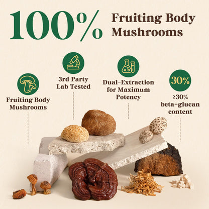 Fidus 16 Mushroom Powder – 17,300mg, 90 Servings | Immunity, Focus & Energy