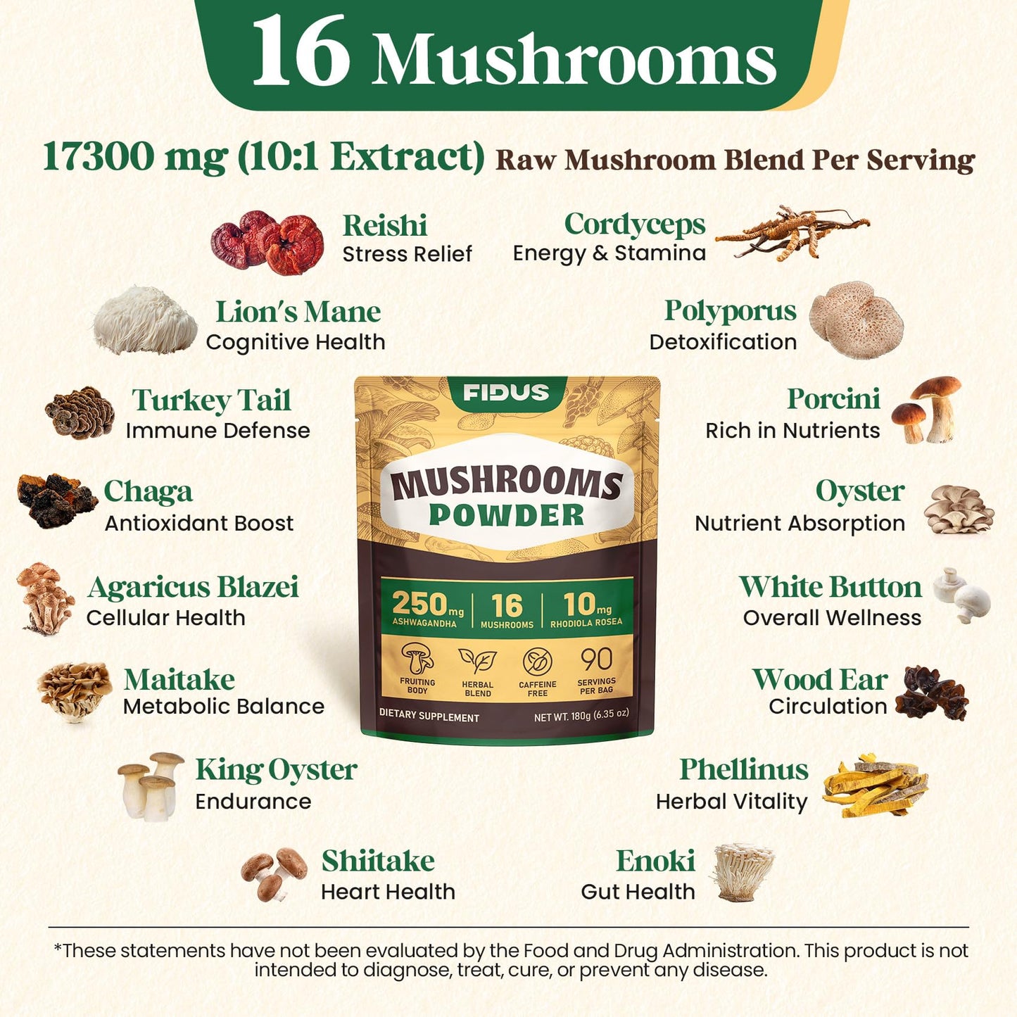 Fidus 16 Mushroom Powder – 17,300mg, 90 Servings | Immunity, Focus & Energy