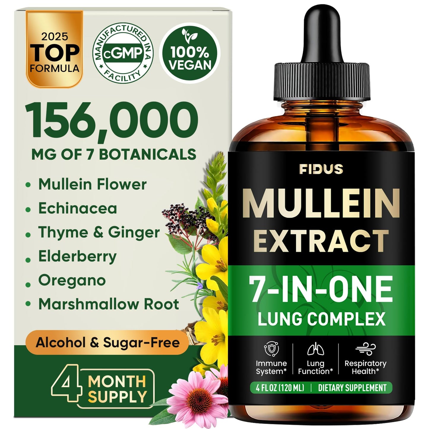 Fidus Mullein Drops – 7-Herb Lung Detox for Lungs & Lymphatics (4 oz)