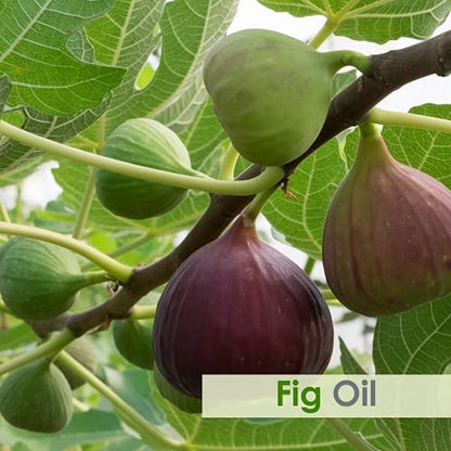 Salvia Fig Oil 30 ml – Pure & Natural Skin & Hair Care | Aromatherapy Oil