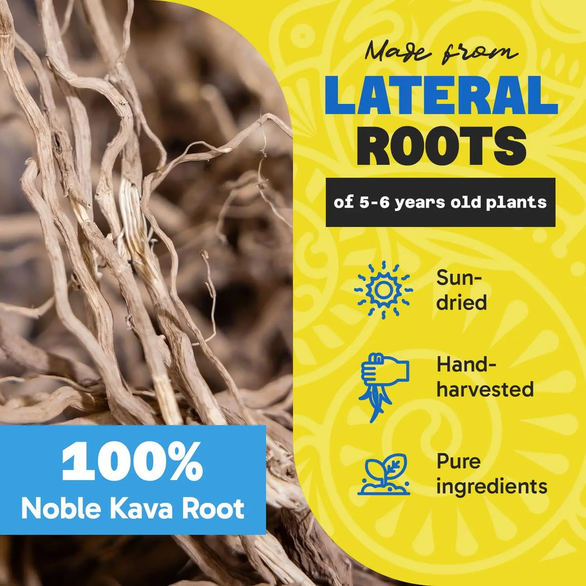 Fiji Vanua Kava Vanuatu Powder – Premium Noble Kava Root, Medium Grind, 16 oz BritishVita | Premium UK Vitamins & Wellness Supplements