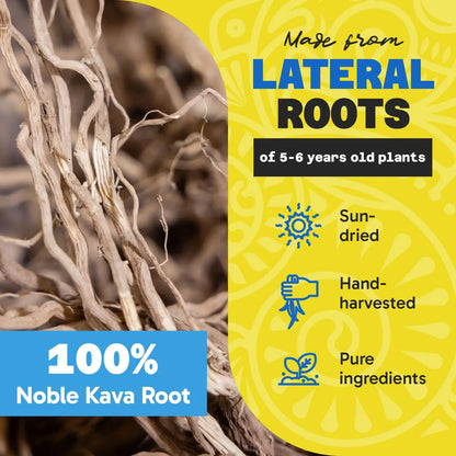 Fiji Vanua Kava Vanuatu Powder – Premium Noble Kava Root, Medium Grind, 16 oz BritishVita | Premium UK Vitamins & Wellness Supplements