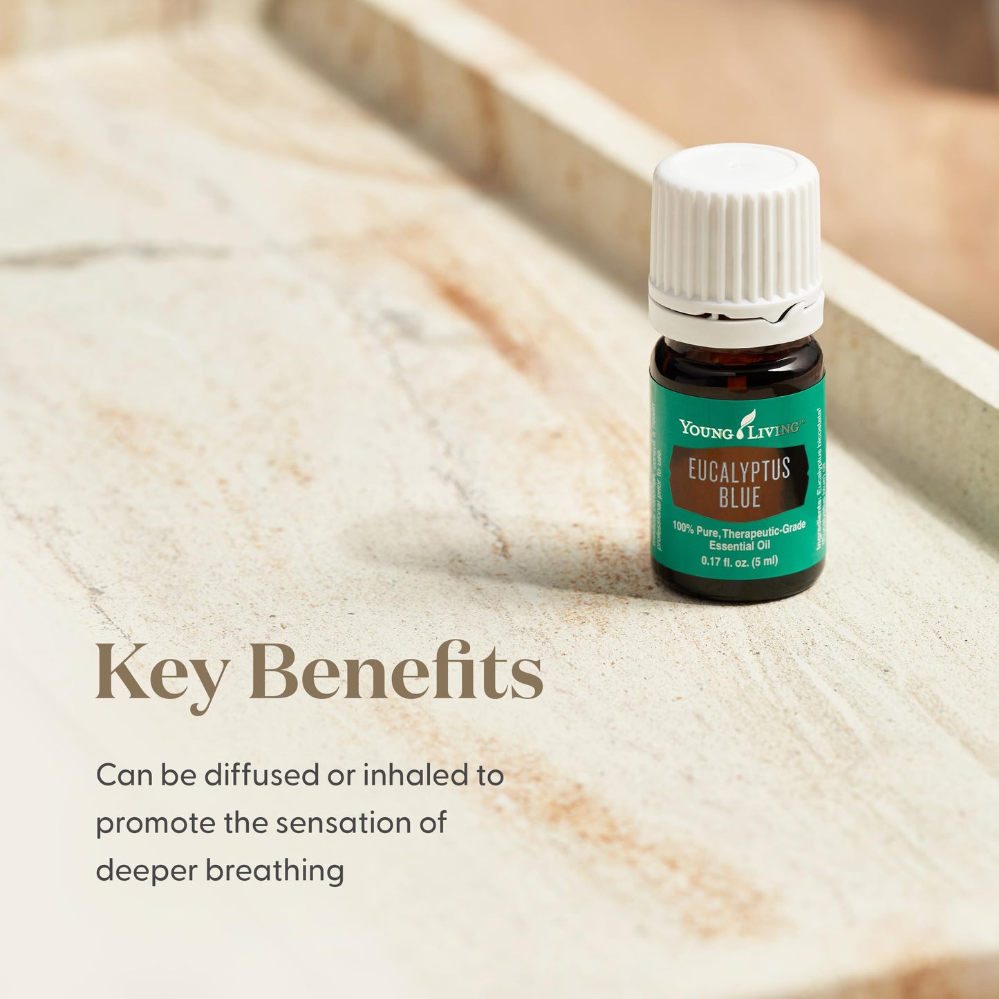 Young Living Eucalyptus Blue Essential Oil – 5 ml | Pure Botanical Extract for Diffusers & Aromatherapy