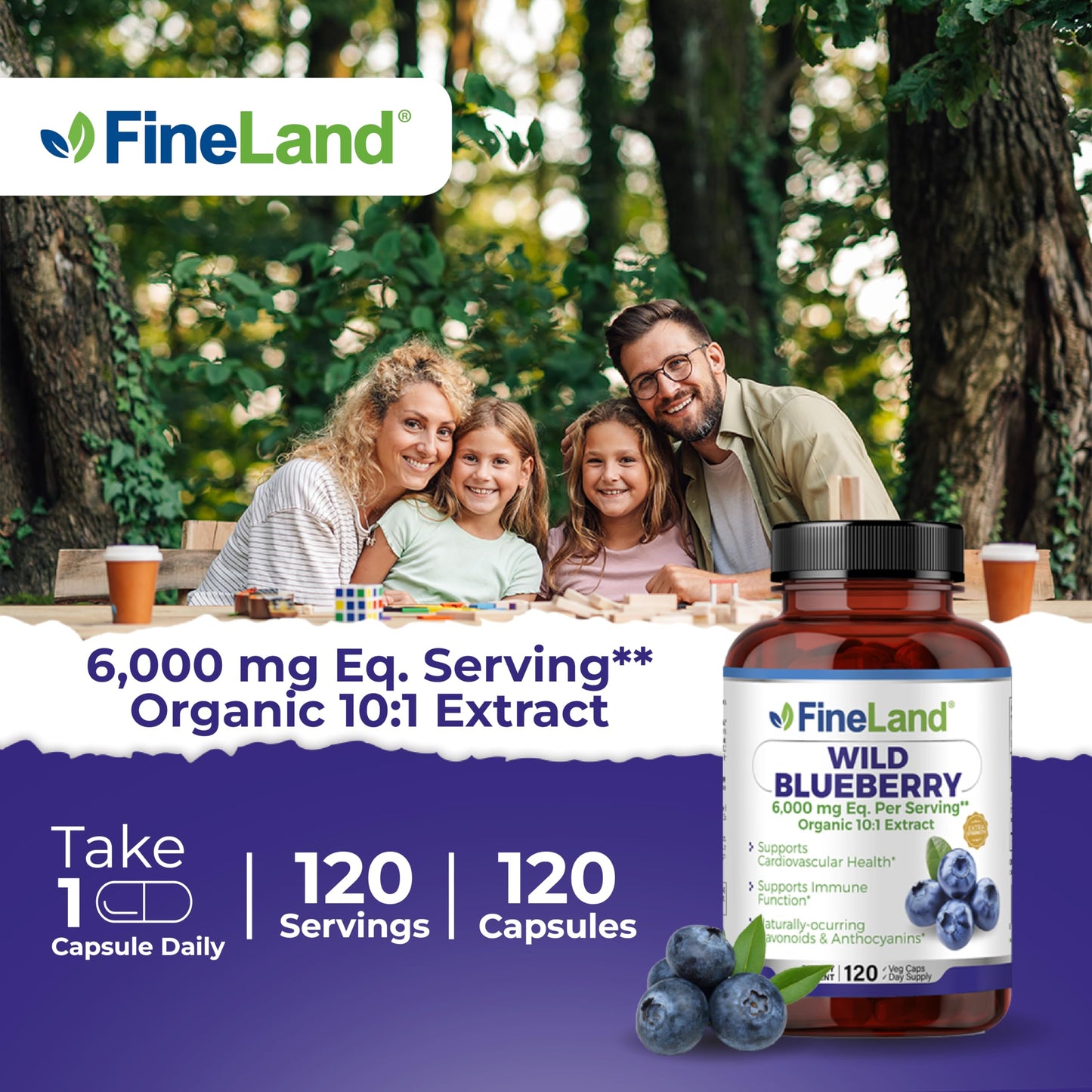 FineLand Wild Blueberry 10:1 Extract – 6,000 mg/Serving, 120 Vegan Capsules | Non-GMO, Made in USA