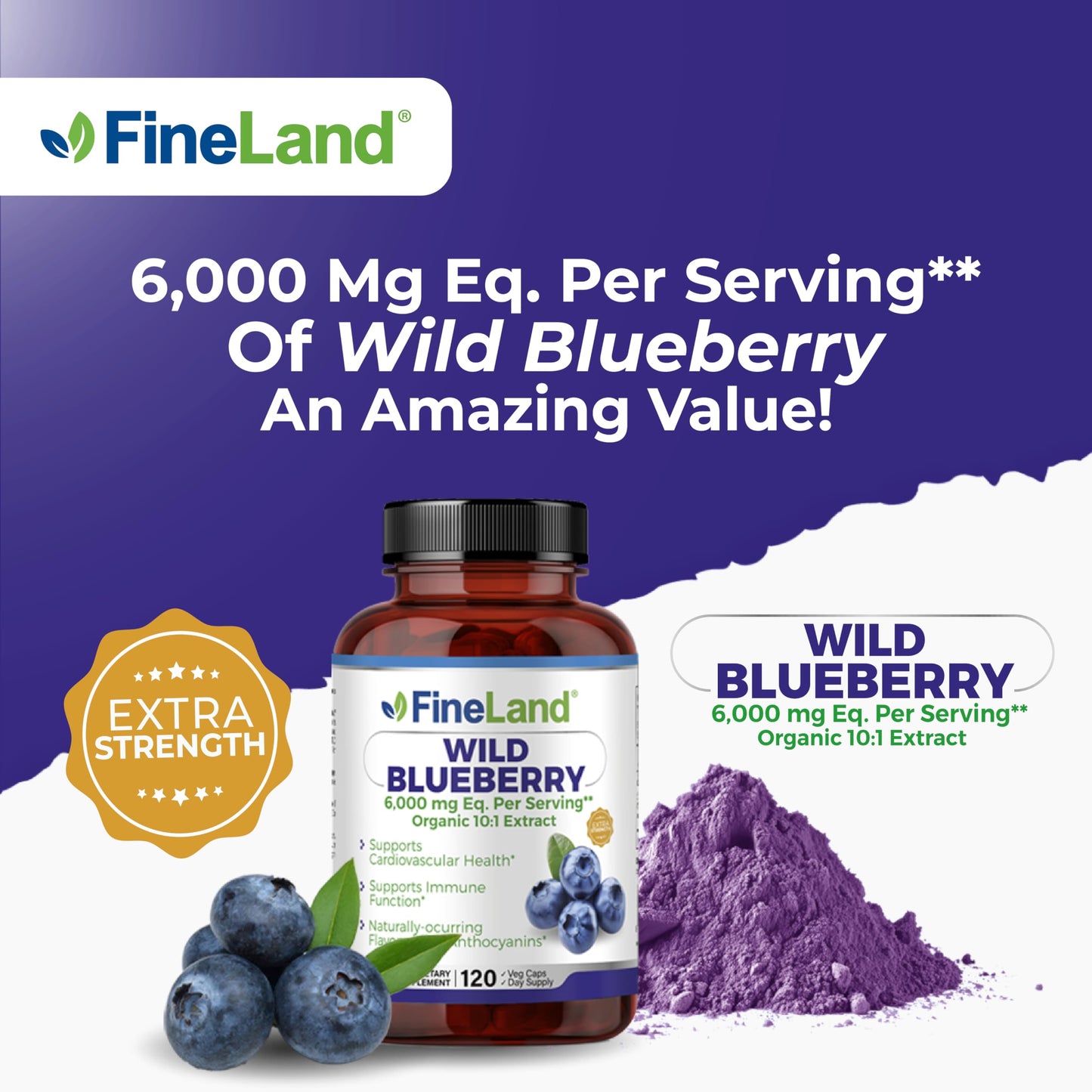 FineLand Wild Blueberry 10:1 Extract – 6,000 mg/Serving, 120 Vegan Capsules | Non-GMO, Made in USA