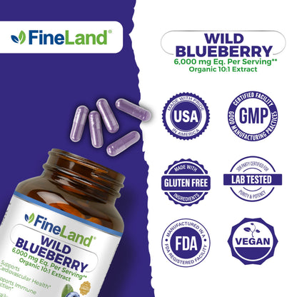 FineLand Wild Blueberry 10:1 Extract – 6,000 mg/Serving, 120 Vegan Capsules | Non-GMO, Made in USA