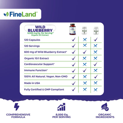 FineLand Wild Blueberry 10:1 Extract – 6,000 mg/Serving, 120 Vegan Capsules | Non-GMO, Made in USA
