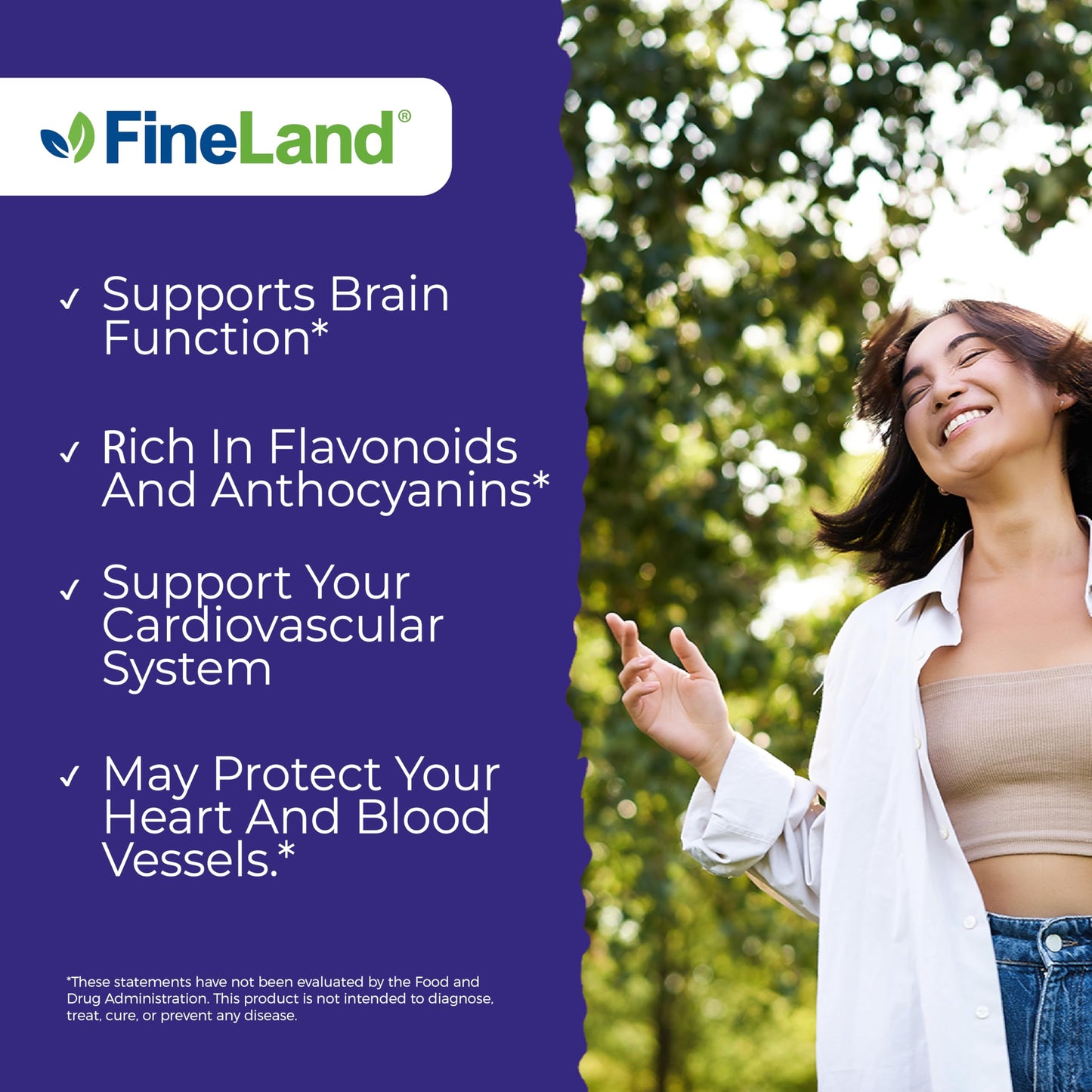 FineLand Wild Blueberry 10:1 Extract – 6,000 mg/Serving, 120 Vegan Capsules | Non-GMO, Made in USA