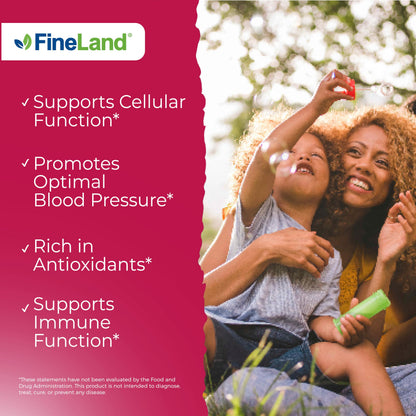 FineLand Pomegranate Extract 20:1 - 8,000 mg per Serving | 40% Ellagic Acid | 120 Veg Caps