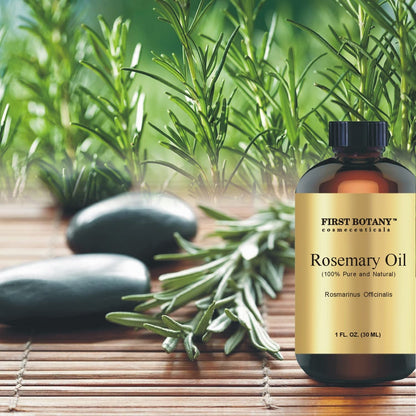 First Botany 100% Pure Rosemary Essential Oil – 1 fl oz for Aromatherapy, Massage & Household Use