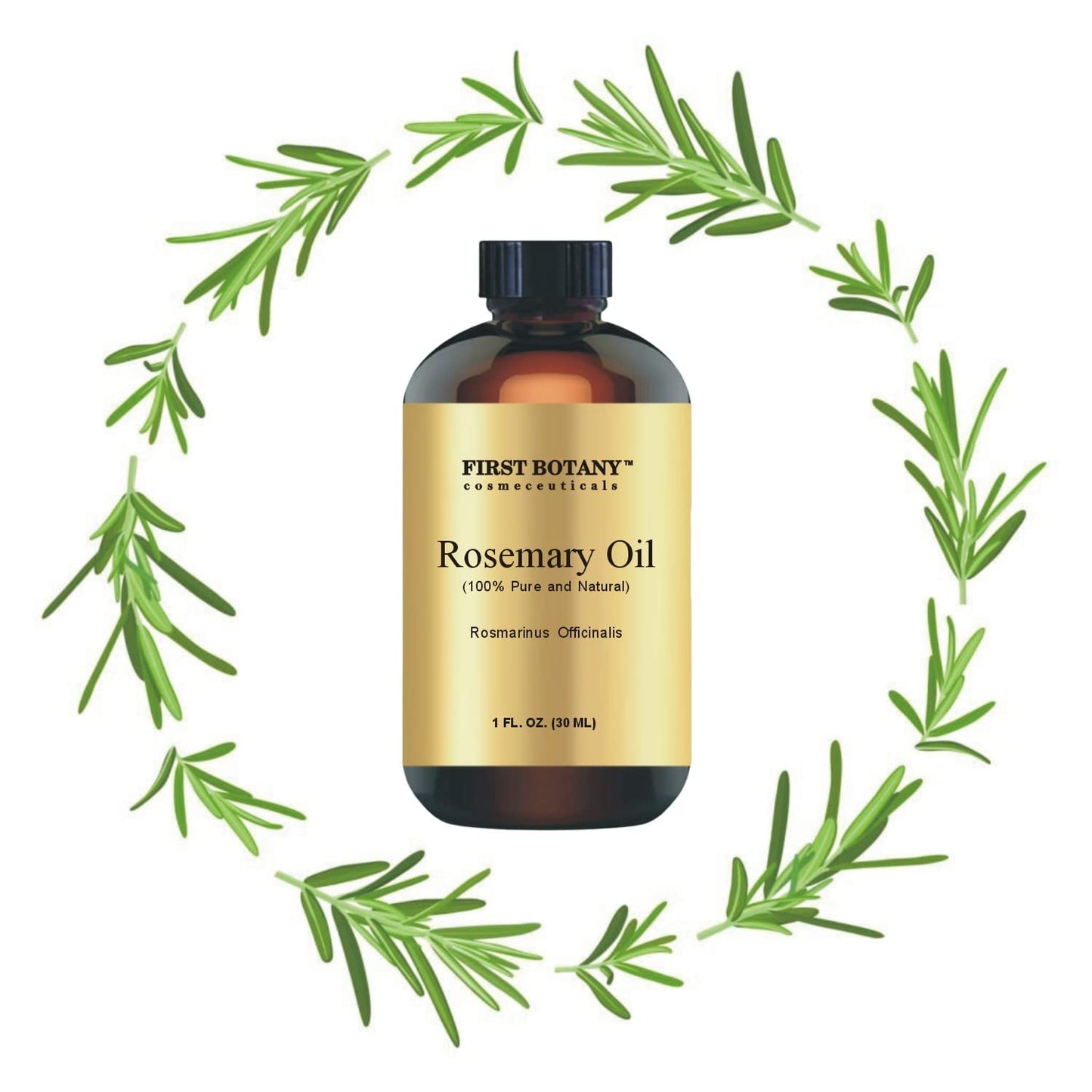 First Botany 100% Pure Rosemary Essential Oil – 1 fl oz for Aromatherapy, Massage & Household Use