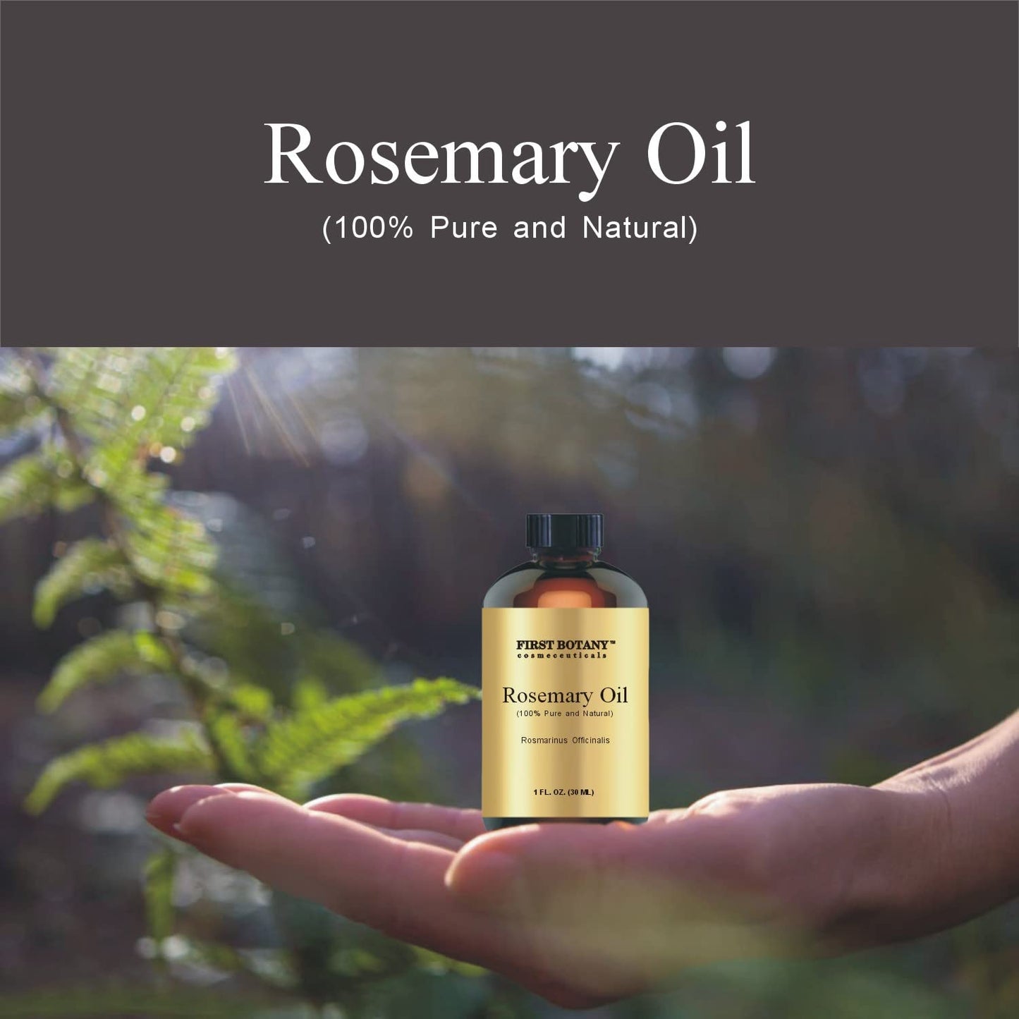 First Botany 100% Pure Rosemary Essential Oil – 1 fl oz for Aromatherapy, Massage & Household Use