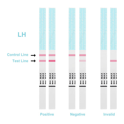 FIRSTVIEW Ovulation Test Strips - 15 Strips, Results Within 5 Minutes, Clear Display, Easy to use
