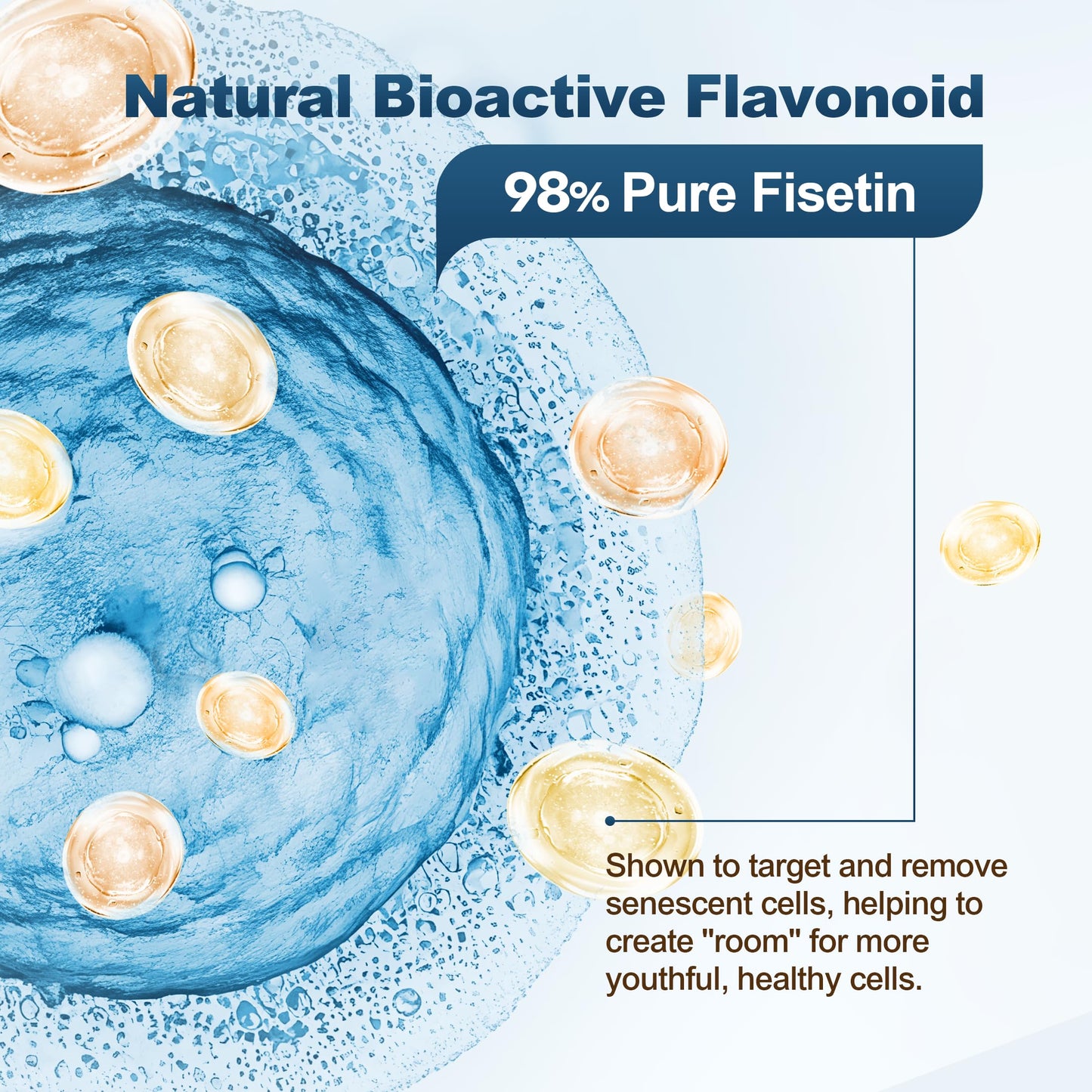 Liposomal Fisetin 200mg & Resveratrol 500mg Gummies – Longevity & Cellular Renewal | 1-A-Day, 60 Gummies