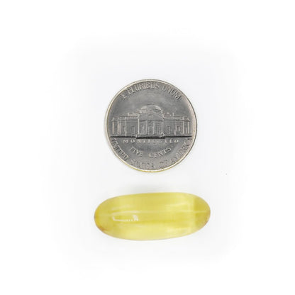 Fish Oil 1200 mg | 360 mg Omega-3s for Heart, Circulation & Brain Health – 60 Softgels