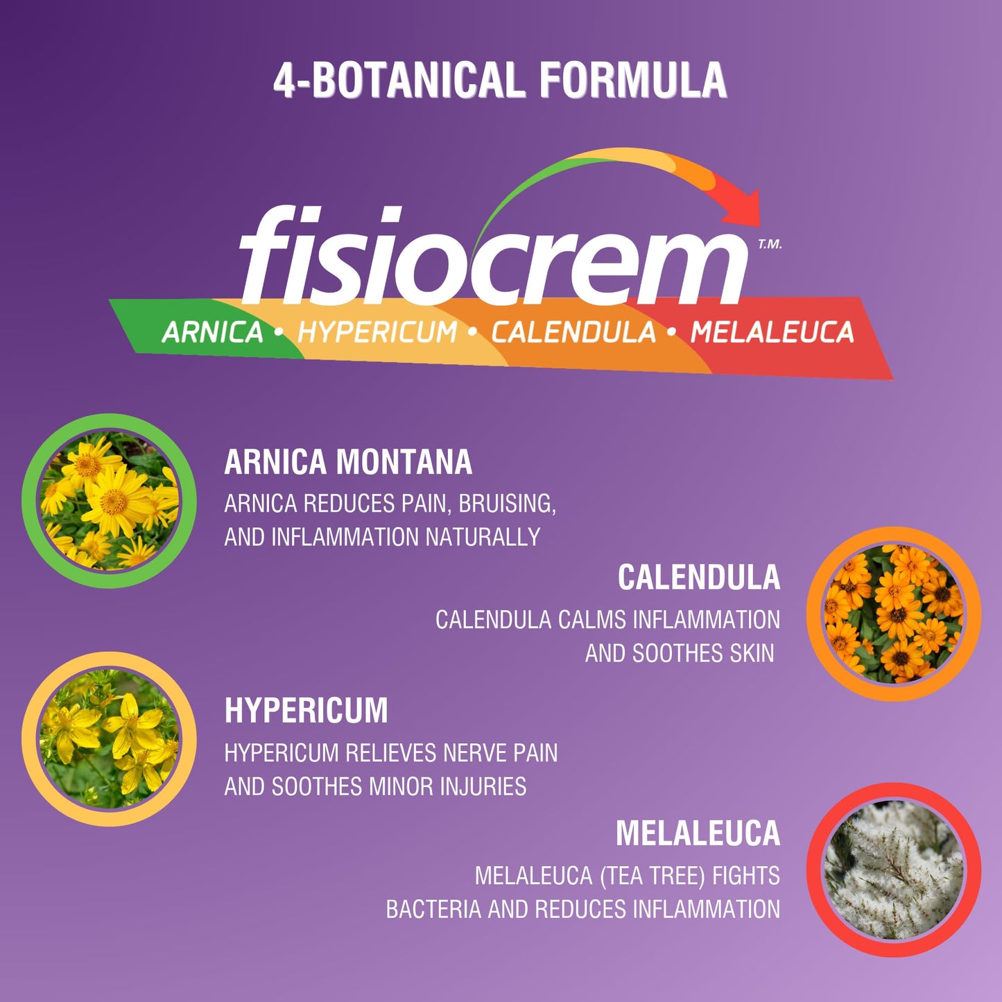 Fisiocrem Liquid Gold – Concentrated Massage Serum (50 ml)