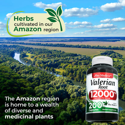 FITO MEDIC'S Lab Valerian Root Capsules – 200 Caps, 12000 mg (Pack of 2)