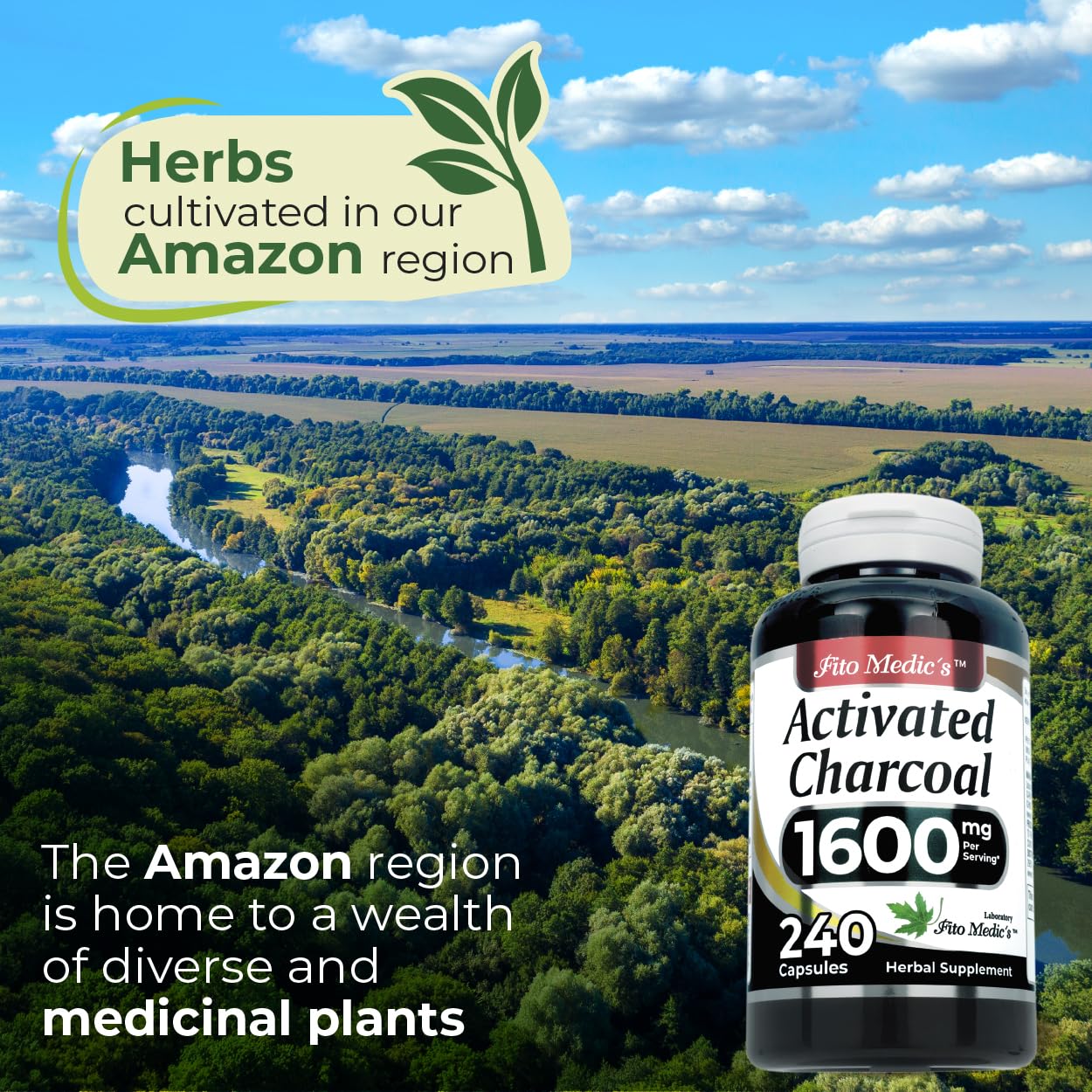 FITO MEDIC'S Lab | Activated Charcoal Pills | 1600 mg per Serving | 240 Caps | Activated Charcoal | Ultra High Absorption