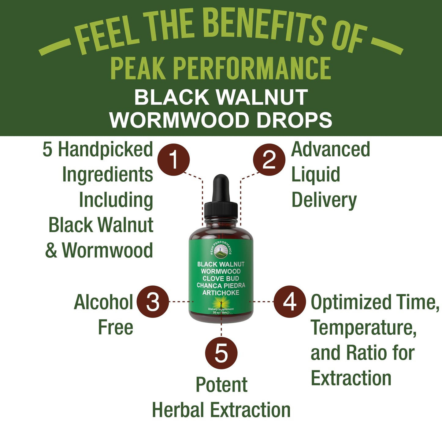 Wormwood Black Walnut Clove Cleanse – Detox & Digestive Support Tincture for Adults & Kids