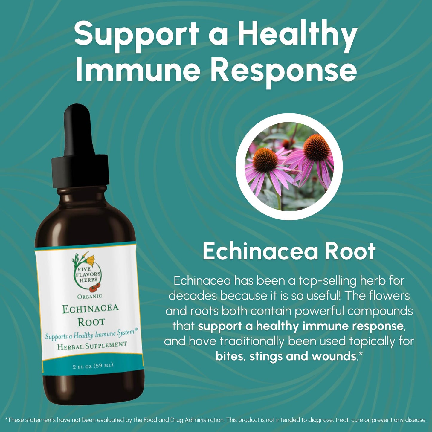 FIVE FLAVORS HERBS Echinacea Root Tincture – Immune Support, Bites & Stings, 2 Fl Oz