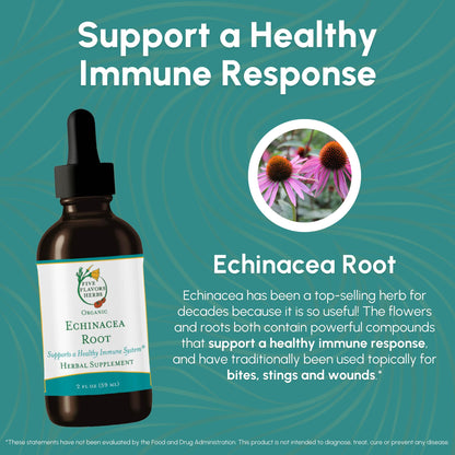 FIVE FLAVORS HERBS Echinacea Root Tincture – Immune Support, Bites & Stings, 2 Fl Oz