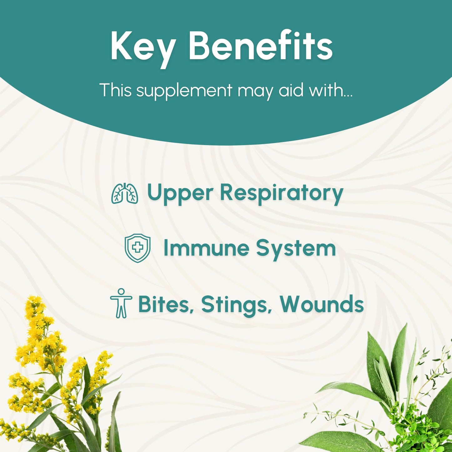 FIVE FLAVORS HERBS Echinacea Root Tincture – Immune Support, Bites & Stings, 2 Fl Oz